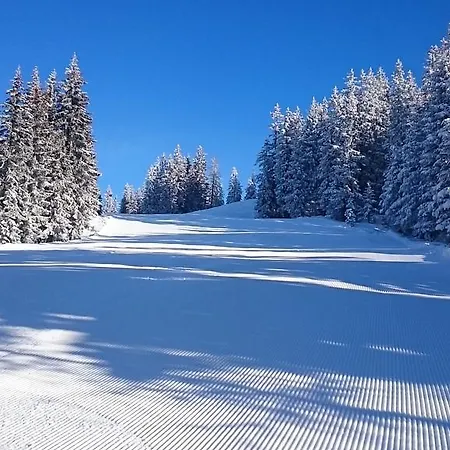 Appartmenthaus Hochkoenig Muhlbach Am Hochkonig