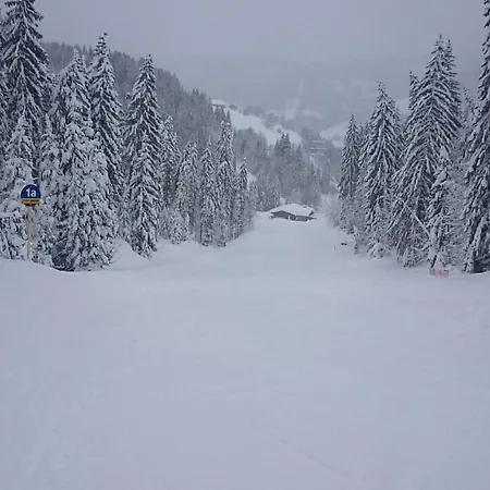 Appartmenthaus Hochkoenig