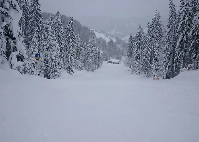 Appartmenthaus Hochkoenig